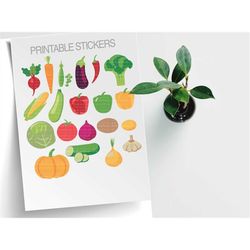 VEGETABLE clip art, seed, seeds, clip art, downloadable, printable stickers, veggies, digital download, svg, ong, pdf, p