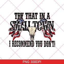 Try That In A Small Town PNG, Country PNG, Cricut, Aldean, Girl Country PNG, Country Music PNG, American PNG, USA PNG