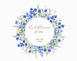 Watercolor blue cornflower round frame, Wildflowers, Meadow Floral circle border, Botanical wreath, Digital download PNG