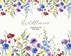Watercolor wildflowers meadow seamless border, Floral banner, Botanical frame, cornflower dandelion meadow herbs Digital