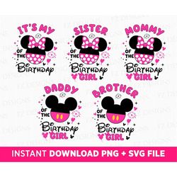 Bundle Family Birthday Girl Svg, Mouse Ears with Fireworks Svg, Sister Of The Birthday Girl, Mom Of The Birthday Girl, I