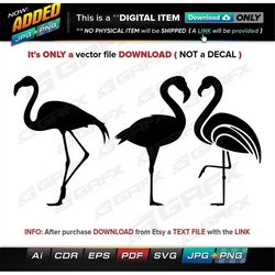 3 Swan Vectors ai, cdr, eps, pdf, svg and also jpg, png - Instant Download -- 26 Files TOTAL (9 Folders)