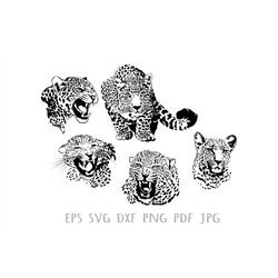 Leopard Svg, Animal Svg Files For Cricut, Wild Dxf Cut File, Wildlife Vector, Eps, Png, Ipg, Mammal, Predator, Safari Bi