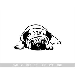 Pug Svg, Dog Svg Files For Cricut, Animal Dxf Cut File, Puppy Vector, Eps, Png, Ipg, Pet, Funny, Cute Portrait Emotion C