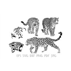 Leopard Svg, Animal Svg Files For Cricut, Wild Dxf Cut File, Wildlife Vector, Eps, Png, Ipg, Mammal, Predator, Safari Bi