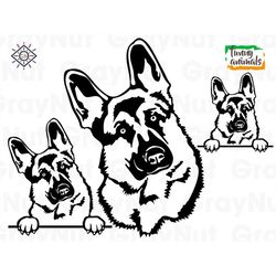 German Shepherd Svg, Dog Svg Files For Cricut, Animal Dxf Cut File, Shepherd Vector, Eps, Png, Ipg, Breed, Puppy, Pet Ma