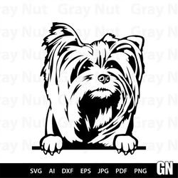 Yorkshire Terrier Svg, Dog Svg Files For Cricut, Animal Dxf Cut File, Puppy Vector, Eps, Png, Ipg, Pet, Funny, Cute Port