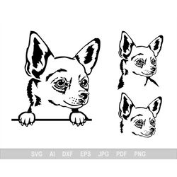 Chihuahua Svg, Cute Svg Files For Cricut, Dog Dxf Cut File, Animal Vector, Eps, Png, Ipg, Puppy, Breed, Pet Canine Love