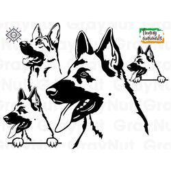 German Shepherd Smiling Dog Breed K-9 Animal Pet Puppy Paws Canine Pedigree Breed Art Design Logo Svg Png Vector Clipart