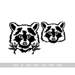 Raccoon Svg, Animal Svg Files For Cricut, Face Dxf Cut File, Black Vector, Eps, Png, Ipg, Sketch, Nature, Funny Zoo Cute