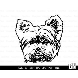 Yorkshire Terrier Svg, Dog Svg Files For Cricut, Animal Dxf Cut File, Puppy Vector, Eps, Png, Ipg, Pet, Funny, Cute Port