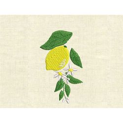 Machine embroidery design Lemon with blooms fruit kitchen