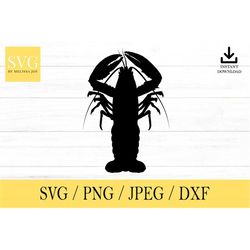 Lobster svg, Animal SVG, svg, png, dxf, jpeg, Digital Download, Cut File, Cricut, Silhouette, Glowforge, Svg files for c