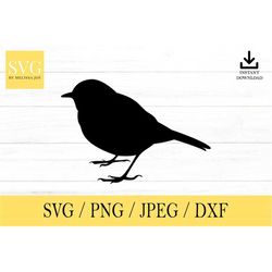 Bird svg, Animal SVG, svg, png, dxf, jpeg, Digital Download, Cut File, Cricut, Silhouette, Glowforge, Svg files for cric