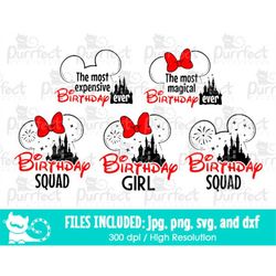 BUNDLE Birthday Girl Mouse SVG, Digital Cut Files in svg, dxf, png and jpg, Printable Clipart, Instant Download