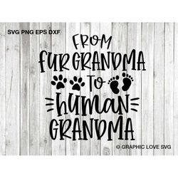Dog Grandma Svg, From Fur Grandma to Human Grandma Svg, Baby Announcement Iron On Png, Promoted from Fur Grandma Svg, Fi