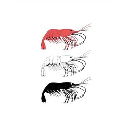 Shrimp, Shrimp SVG, SVG Files, Prawn Svg, Clip Art, SVG, Cricut, Silhouette Cameo, ScanNCut, Crawfish, Shrimp vector, Lo