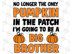 big brother fall pregnancy announcement svg, halloween quote svg png