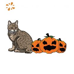 Shorthaired Cat Pumpkin Svg, Halloween Svg, Best Halloween Svg, Halloween Cat Svg