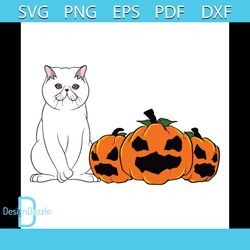 Exotic Shorthair Cat Pumpkin Svg, Halloween Svg, Shorthair Cat Svg, Exotic Svg