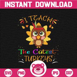 I Teach the Cutest Little Turkeys Png Thanksgiving Png Teacher Png Thanksgiving Teacher Png Sublimation Digital Download