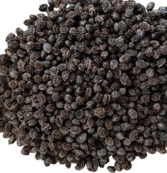 Papaya Seeds in dried | Dry Papaya Seeds | Edible Seeds| Organic Papaya Seeds | Natural Bio Product | Weight Loss Seeds
