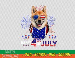 USA US American Flag Patriotic 4th of July Bald Eagle Merica PNG, Digital Download