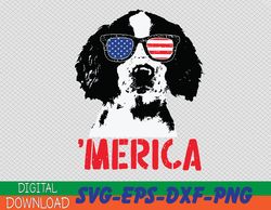 Merica Englisth Springer Spaniel American Flag 4th of July Svg, Eps, Png, Dxf, Digital Download