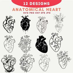 Anatomical Heart, Flower Heart Svg, cardiac svg, Cardiology SVG , Human Heart svg, Anatomical Heart with flowers SVG, Fl