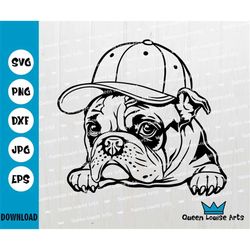 French bulldog svg,French Bulldog dog Wearing Cap Svg, Frenchie Clipart Print ,Cricut Cutting Files digital download cli
