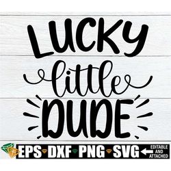 Lucky Little Dude, Boys St. Patrick's Day Shirt svg, Kids St. Patrick's Day svg, Funny St. Patrick's Day svg, St. Patric