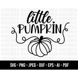COD17- Little Pumpkin Svg Bundle/Halloween SVG Bundle/svg-pdf-ai-eps-png-jpg-dxf/Hand-drawn clipart/Cut Files Cricut/Sil