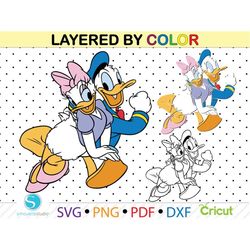 Daisy and Donald duck  svg, donald duck clipart, daisy duck clipart, layered digital vector file, tumbler svg, file for