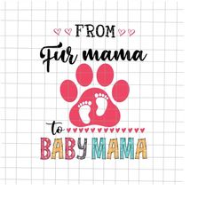 From Fur Mama To Baby Mama Svg, Mama Bear Svg, Mother's Day Svg, Funny Mother's Day Svg, Mother's Day Quote Svg