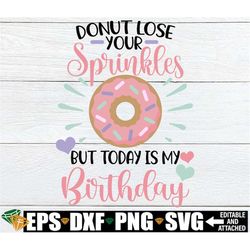 Donut Lose Your Sprinkles But Today Is My Birthday, Donut Theme Birthday, Girls Donut Theme Birthday, Toddler Girl Birth