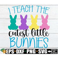 I Teach The Cutest Little Bunnies, Teacher Easter Shirt svg, Easter Classroom Decoration PNG SVG, Easter Gift For Teache
