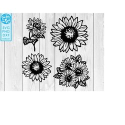 Sunflower svg png, Hand drawned sunflowers SVG, PNG, Sunflower Bundle Svg, sun flower Cut File For Cricut, Silhouette Ma