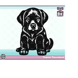 SVG Puppy svg, Puppy Dog svg, Labrador Svg files for Cricut. Puppy Dog Png, Svg, Dxf, Jpg