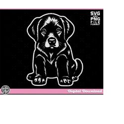 Puppy svg, SVG Puppy Dog svg, Labrador Svg files for Cricut. Designed for Dark Substrates. Png, Svg, Dxf, Jpg