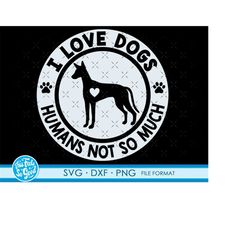 Funny Ibizan Hound svg dog files for Cricut. Silhouette Dog png, SVG, dxf clipart files. Ibizan Hound svg, dxf, png