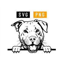 Pitbull SVG  PNG | ArtPush