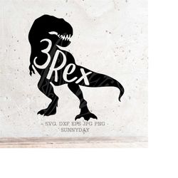 3 rex Svg,Three Rex svg File DXF Silhouette Print Vinyl Cricut Cutting SVG T shirt Design Three-a-Saurus Birthday svg,di