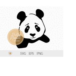 Panda svg, Panda head svg, Cute panda svg, png files