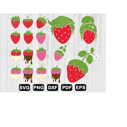 Strawberry Svg Bundle, Friut Svg, Cute Strawberry Svg, Strawberry Cut File, Strawberry Clip Art, Cricut, Svg Files, Png,