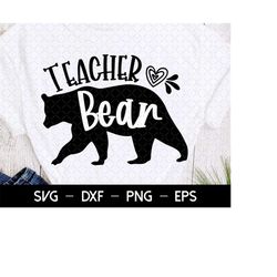 Teacher Bear SVG, Teacher SVG, Teacher To Be svg, Teacher Shirt Design, Bear Teacher svg, Digital Download cut file for
