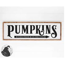 Pumpkins Farm Fresh SVG, Pumpkin Patch Cut File for Farmhouse Sign, Pumpkin svg for Fall sign, Digital Download, Cricut