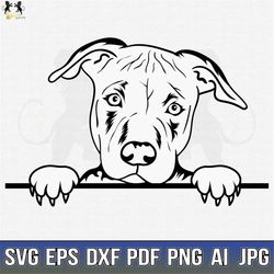 Pitbull Svg, American Pit Bull Svg, Pitbull Clipart, Pitbull Vector, Pitbull Cricut, Dog Paw Svg, Pitbull Cut File, Dog