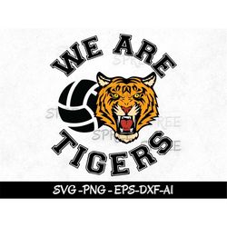 we are tigers svg, tigers volleyball team svg, tigers school mascot svg, tiger softball svg, game day tigers png, tigers