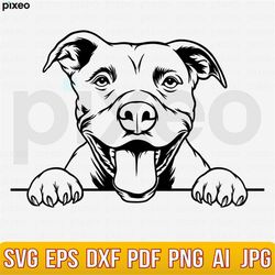 Pitbull Svg, American Pit Bull Svg, Pitbull Clipart, Pitbull Vector, Pitbull Cricut, Dog Paw Svg, Pitbull Cut File, Dog