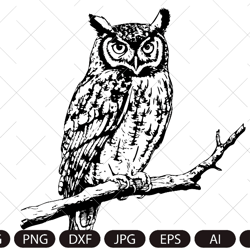 Owl Svg, Owl Clipart, Owl Png, Owl Head, Owl Cut Files For Cricut , Owl Silhouette, Bird Silhouette